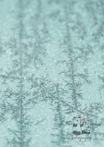 ice crystals