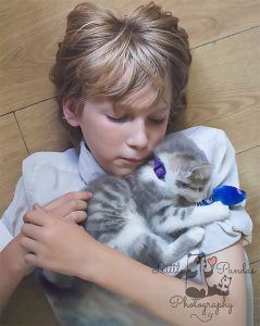 Boy with grey kitten
