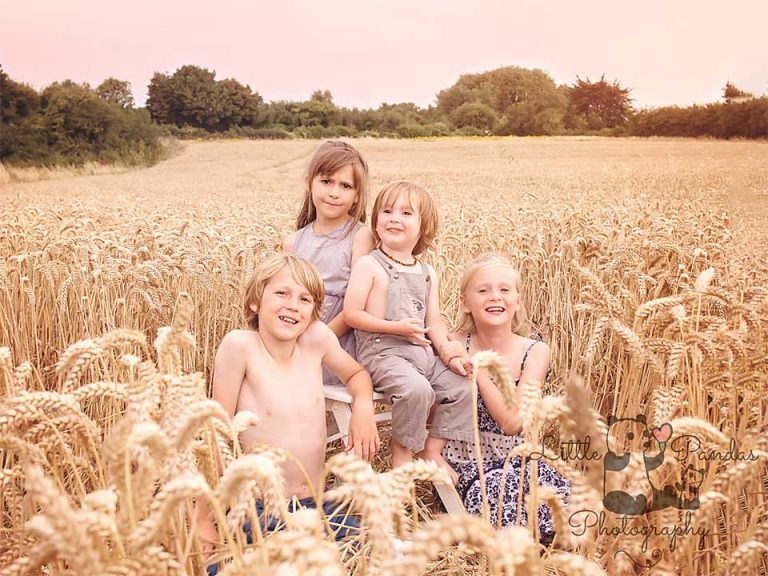Children in a wheat field