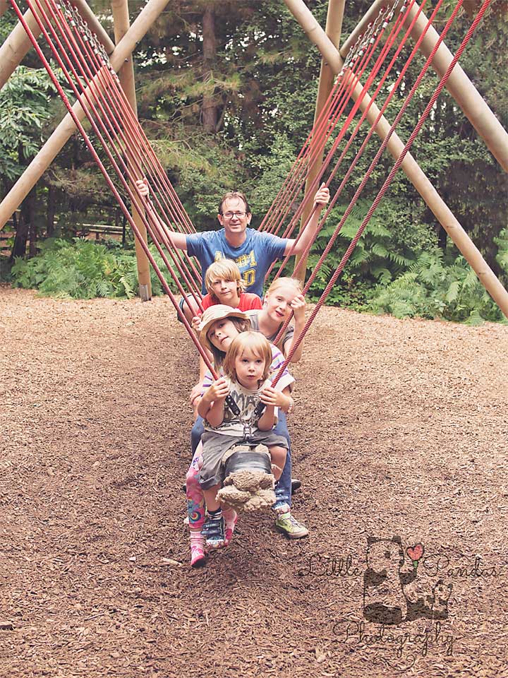 Family on log swing