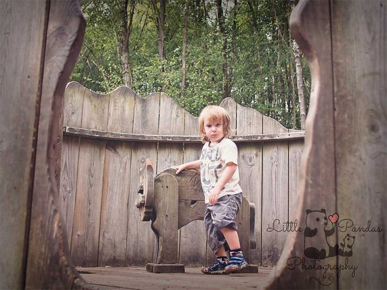 Little boy with wooden bull