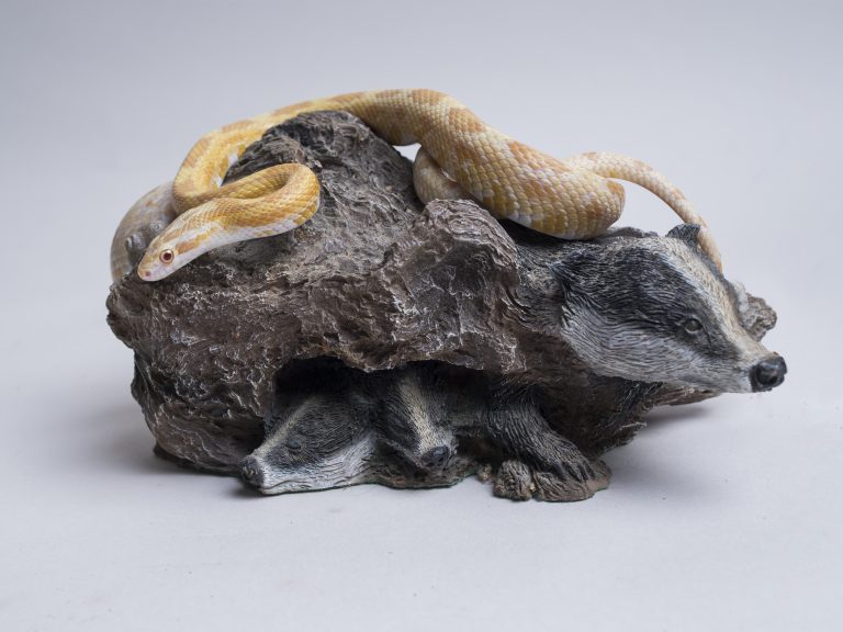Yellow corn snake on a rock portrait
