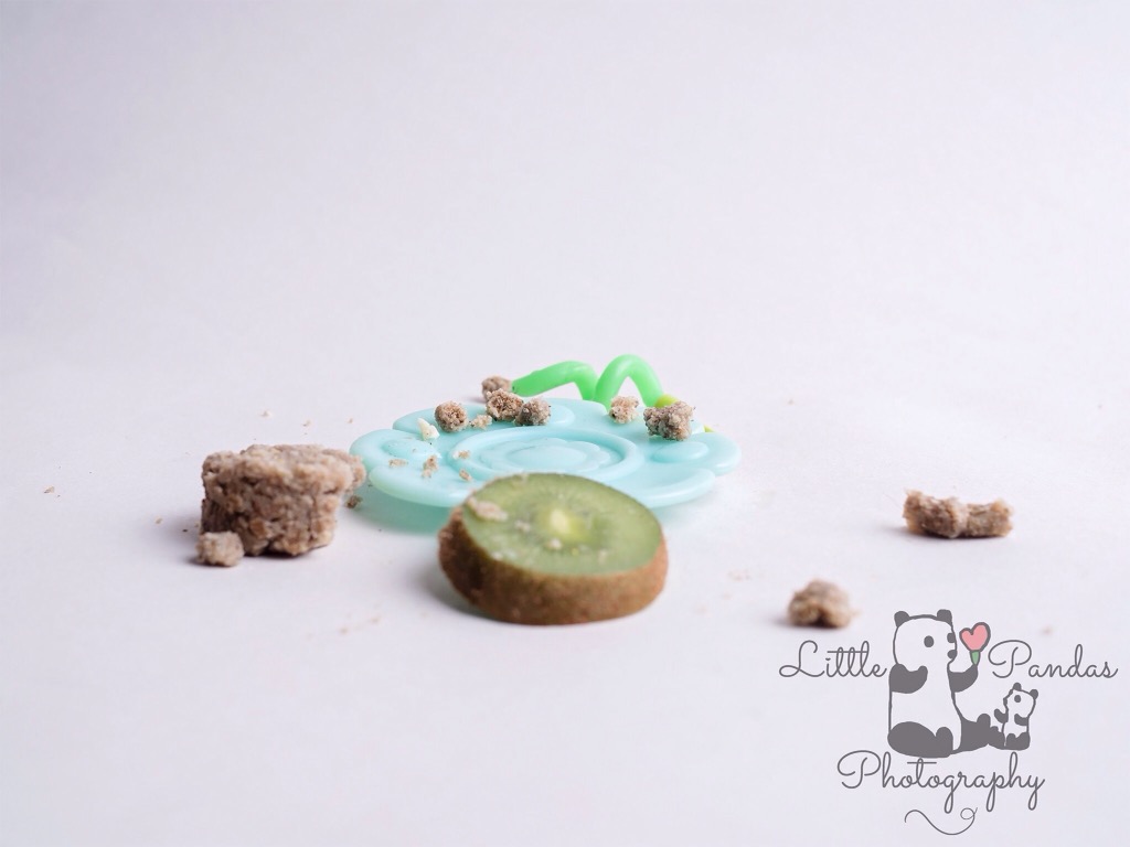 Hamster cake smash smashed cake aftermath