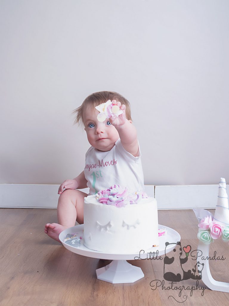 1st birthday photo shoot