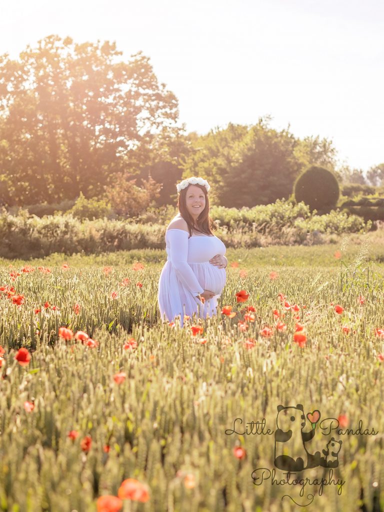 Pregnant lady in poppy field sunset